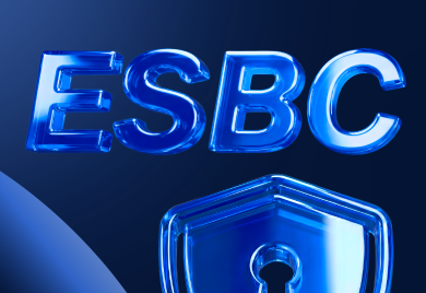 Статья: Eltex ESBC для телефонии